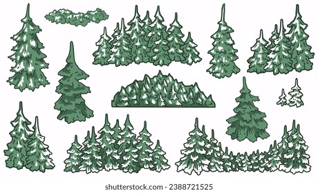 Forest of various forms. Set of pines and spruce for camping. Nature elements for outdoor adventure, wanderlust or explore. Forest tree collection.