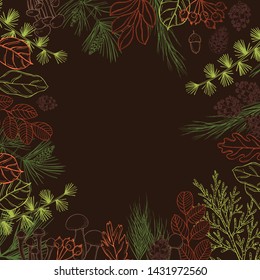 Forest vector background  with leaves, conifer branches, cones and mushrooms. Sketch  illustration.