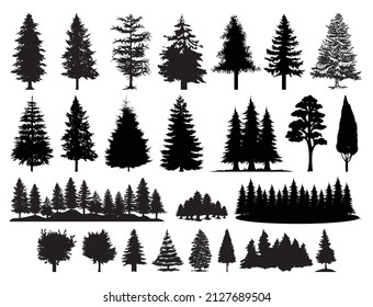 Forest Vector Bundle, Trees Silhouette, Trees Vector Bundle, Fir Tree