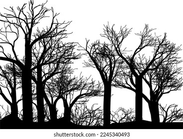 WaldVektorgrafik einzeln auf weißem Hintergrund