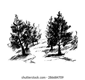 Forest, vector illustration for your design