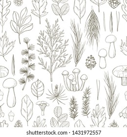 Forest vector seamless pattern with leaves, conifer branches, cones and mushrooms. Sketch  illustration.