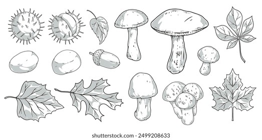 Forest vegetation monochrome set stickers with leaves fallen from autumn trees near petals and mushrooms or acorns vector illustration