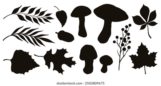 Forest vegetation set stickers monochrome mushrooms and twigs or tree leaves near acorn fallen from autumn oak tree vector illustration