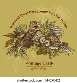 Forest vintage greeting card with owls, spruce branches and fir cones, vector illustration