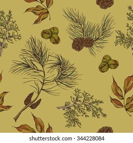 Forest vintage seamless background with spruce branches and fir cones, vector illustration