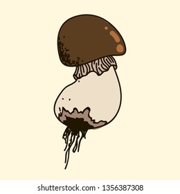 Forest white mushroom