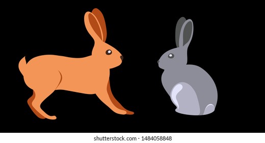 Forest wild animal hare. House rabbit. Illustration of a hare_