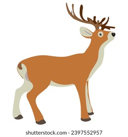 Forest wild animal on a white background. Cute horned deer. Clip art in carton style. Hand drawn vector illustration.