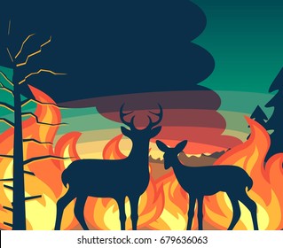 Forest Wildfire With Deer And Fawn Looking On Wildfire Vector Illustration For Poster Or Banner Print