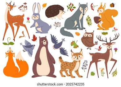 Forest wildlife animals and birds, cute woodland animal. Deer, fox, bear, squirrel, hedgehog, wolf, rabbit. Forest leaves, berries vector set. Plants and funny characters, flora and fauna