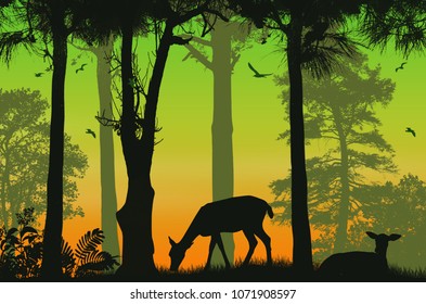 Forest wildlife poster. Deers silhouettes on beautiful sunset, vector illustration