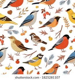 Forest winter birds pattern. Forest animal background, flat snowy tree branches. Holiday bullfinch leaves berries, wildlife vector texture