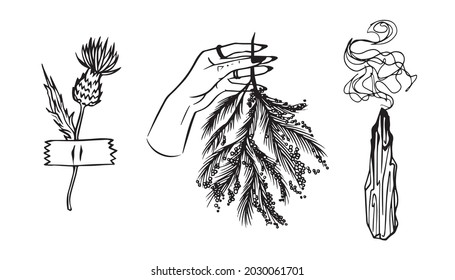 Forest witch sticker set magic vector black and white collection