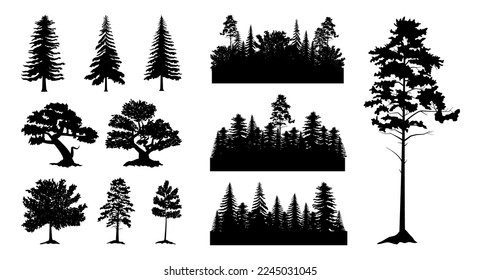 Forest wood black silhouettes, different trees. Pine or fir canopy, woodcut sketch, leaf and branch landscape scene. Spruce and coniferous natural woodland. Vector outline garish illustration