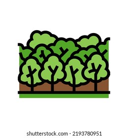 forest wood timber color icon vector. forest wood timber sign. isolated symbol illustration