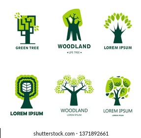 Forest or woodland isolated icon tree ecology and clean environment vector trunk and leaves or foliage crown greenery woods green area plants growing and protection earth saving eco emblem or logo.