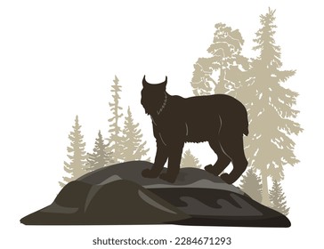 Forest woodland landscape with wild cat lynx on a rock. Vector illustration