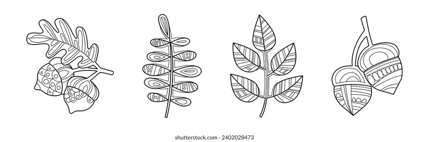 Forest and Woodland Nature Element and Plant Vector Set
