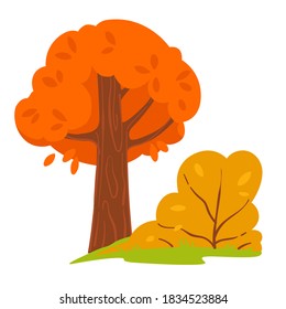 Forest or woods in autumn, fall season landscapes, isolated tree and bush with dried leaves. Scenic seasonal view of park, deciduous foliage and green grass. October or november vector in flat