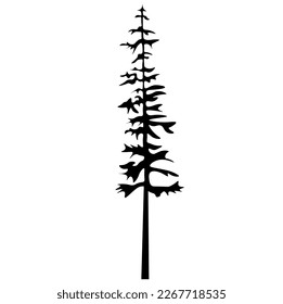 Forest woods trees vector illustration for logo - Black silhouette of spruce or fire tree, isolated on white background	
