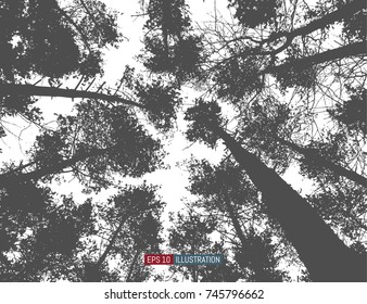 Forest zenith. Abstract nature background. One click color change. Template for your design works. Vector illustration.