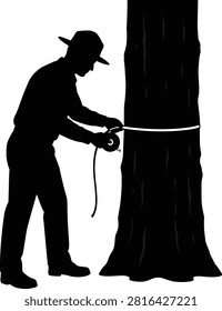Forester, measuring tree, tape measure, nature, silhouette, transparent.
