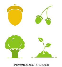 Forestry glyph color icon set. Oak tree and fruit, growing sprout. Silhouette symbols on white backgrounds. Negative space. Vector illustrations