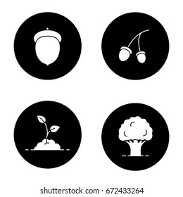 Forestry glyph icons set. Oak tree and fruit, growing sprout. Vector white silhouettes illustrations in black circles