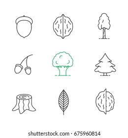 Forestry linear icons set. Acorns, walnut leaf, hazelnuts, birch, oak, fir trees, stump. Thin line contour symbols. Isolated vector outline illustrations