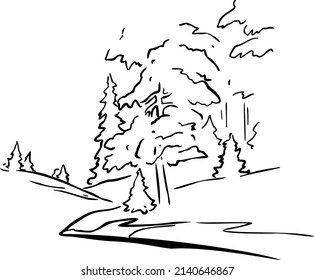 Forests and glade hand draw vector illustration art