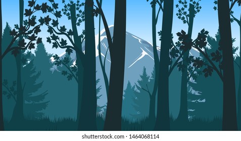 Forests hills. Pines and deciduous forest with mountains vector illustration, mountainous taiga inspirational scenic landscape, misty forested alpine backdrop