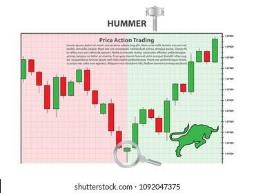 Forex Trading or commodity charts,hummer Bullish symbols on stock market,the candlestick Clean chart graphic design,vector illustration.