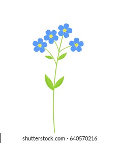 Forget me not blue flowers. Vector illustration