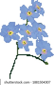 forget me not blue pixel flower