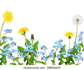 Forget me not and dandelion flowers background