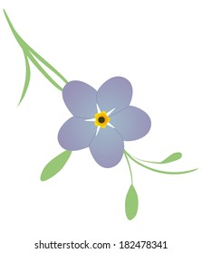 Forget me not Flower