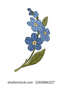 Forget me not flower colorful vector isolated. 