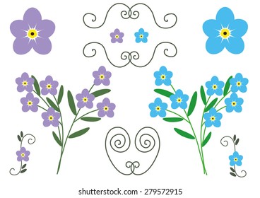 Forget me not flower delicate vector