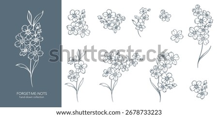 Forget me not flower drawing. Forget-me-not illustration isolated on white background. Floral Line Art Graphics. Hand Drawn Outline Flowers. Botanical Silhouette Drawing. Floral Illustration