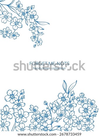 Forget me not flower drawing. Vertical template with forget-me-nots frame. Floral Line Art Graphics. Hand Drawn Outline Flowers. Botanical Silhouette Drawing. Floral Illustration