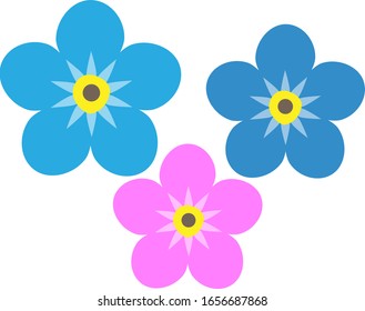Forget me not flower isolated on white background. Blue and pink bloom. Vector illustration. 