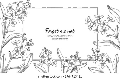 Forget Me Not Flower And Leaf Hand Drawn Botanical Illustration With Line Art.