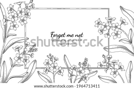 Forget me not flower and leaf hand drawn botanical illustration with line art.