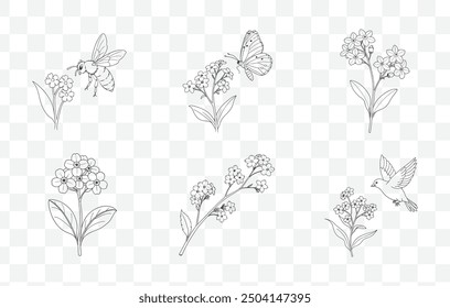 Forget Me Not Flower Line Art Vector Set Delicate Botanical Illustrations of Forget Me Nots in Black and White