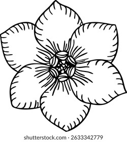 Olvídame no arte de la línea de la flor. Ilustración vectorial dibujada a mano