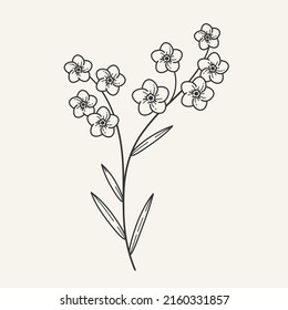 Forget me not flower. Simple contour vector illustration for cosmetics, perfumeries and food packaging.