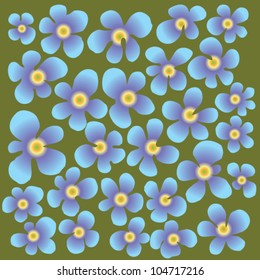 forget me not flowers