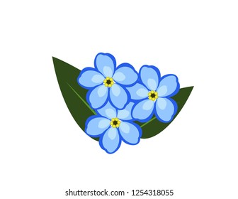 Forget -me -not flowers