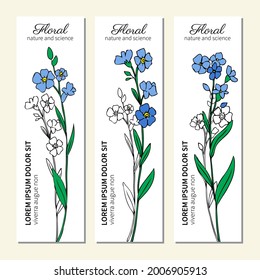 Forget me not flowers isolated on white backdrop, vertical banner, labes, hand drawn doodle vector sketch herbal vintage graphic line art for card, sticker, invitation, wedding design, cosmetic